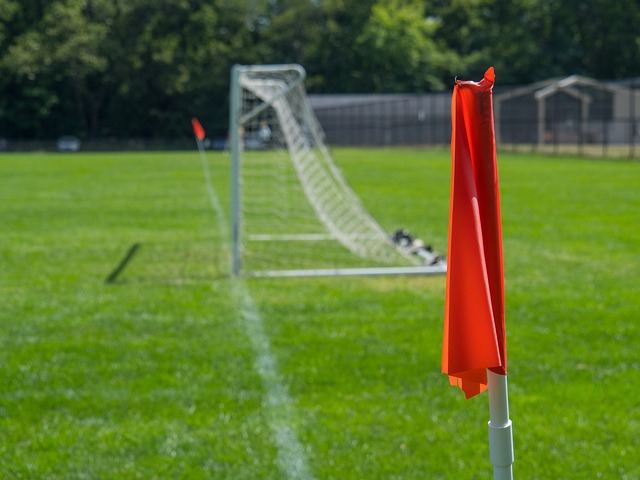 机会加强进 机会加强进