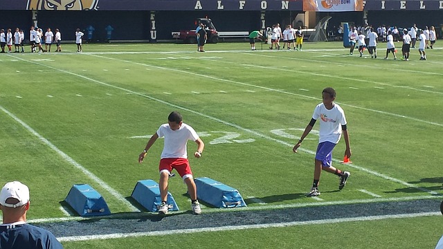 迷还在期待 迷还在期待