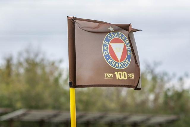 安全的跑步 安全的跑步