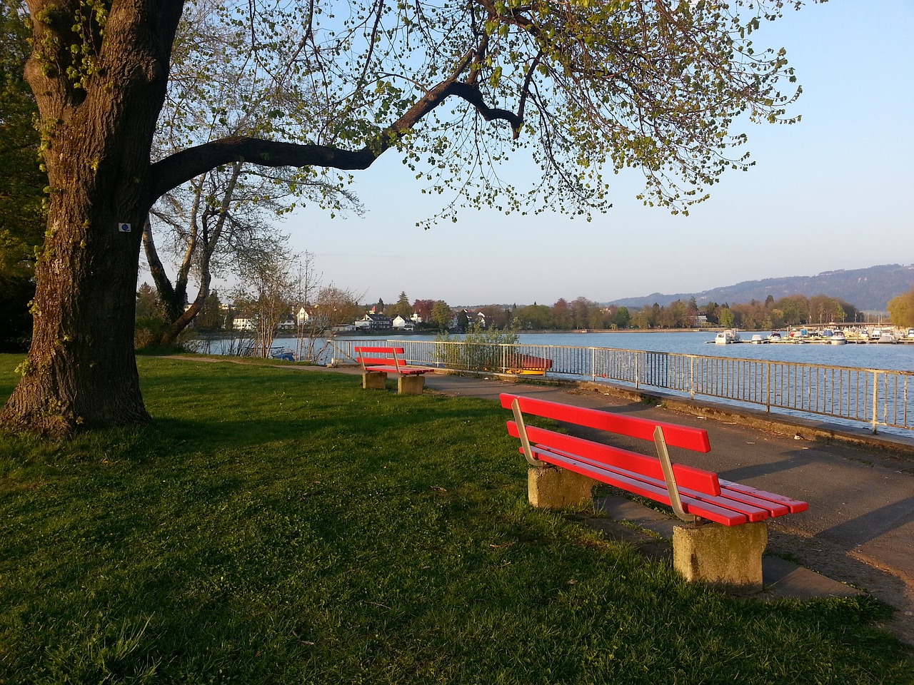 据政府统计 据政府统计