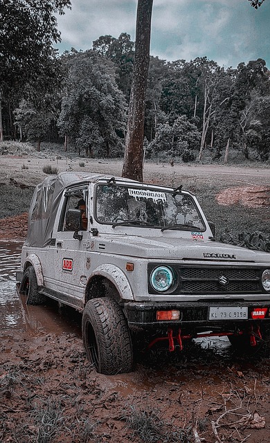 行非常到位 行非常到位